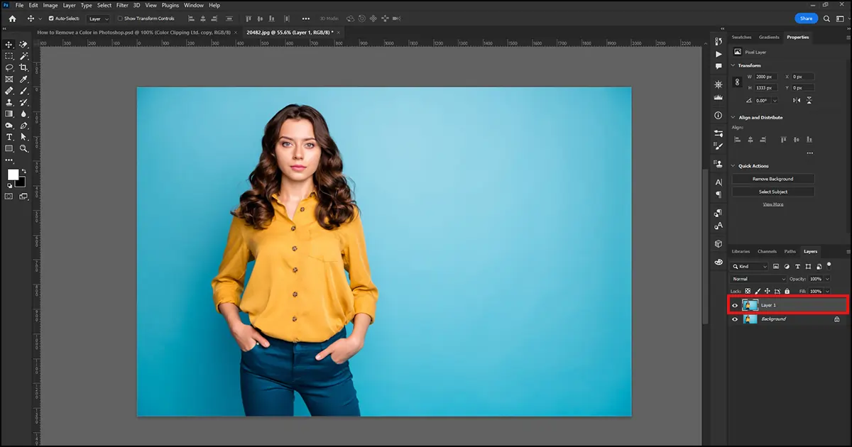 Remove Color with Color Range Technique