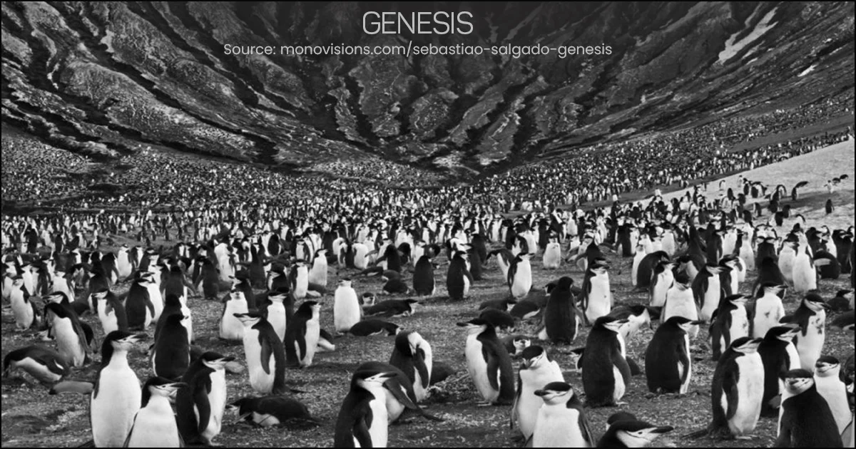 GENESIS