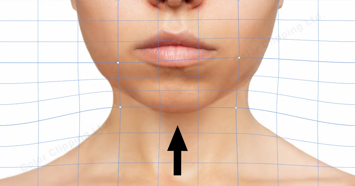 Step 9 - select the boxes where the bottom chin