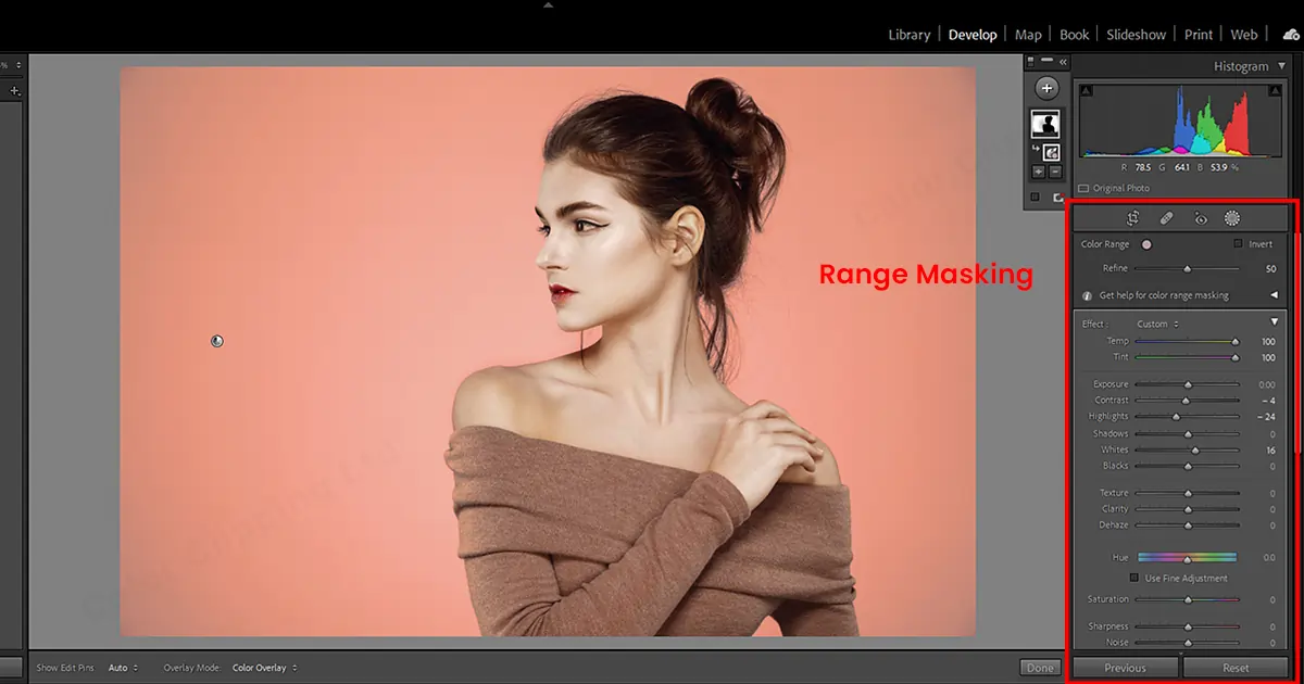 Range Masking in Lightroom